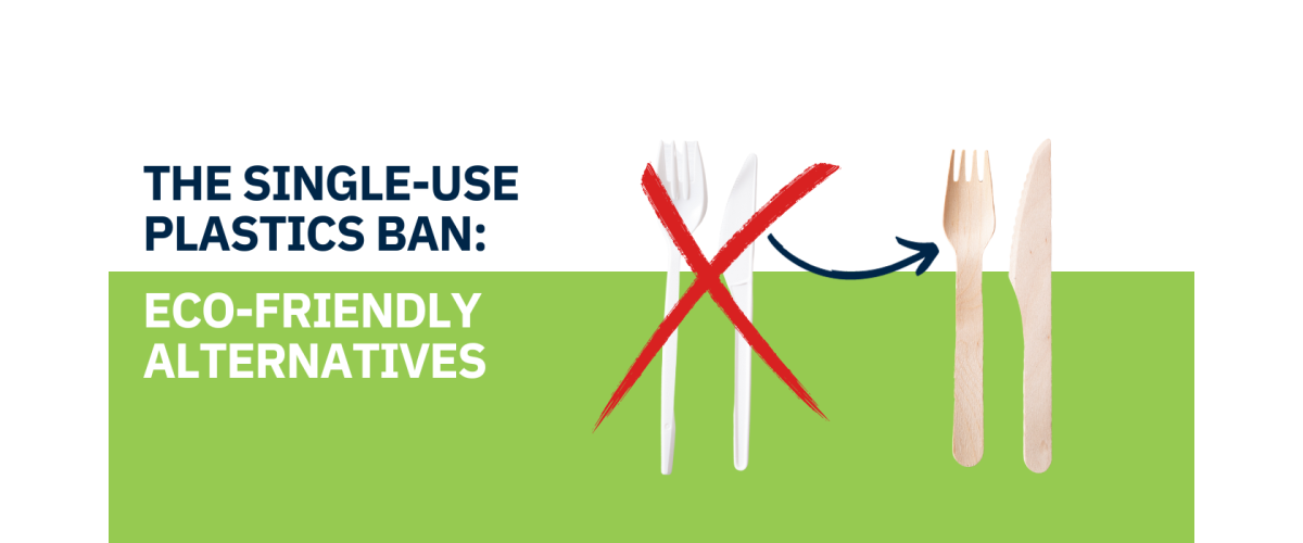 Government Ban on Single-Use Plastics: Impact on Construction Sites and Sustainable Alternatives