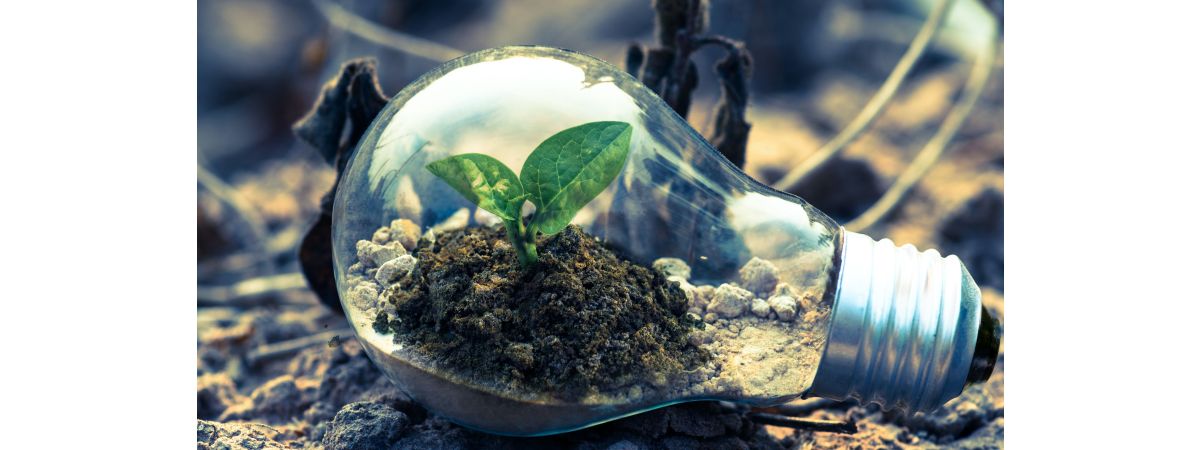 Need innovative pollution prevention solutions? Green Rhino have you covered...