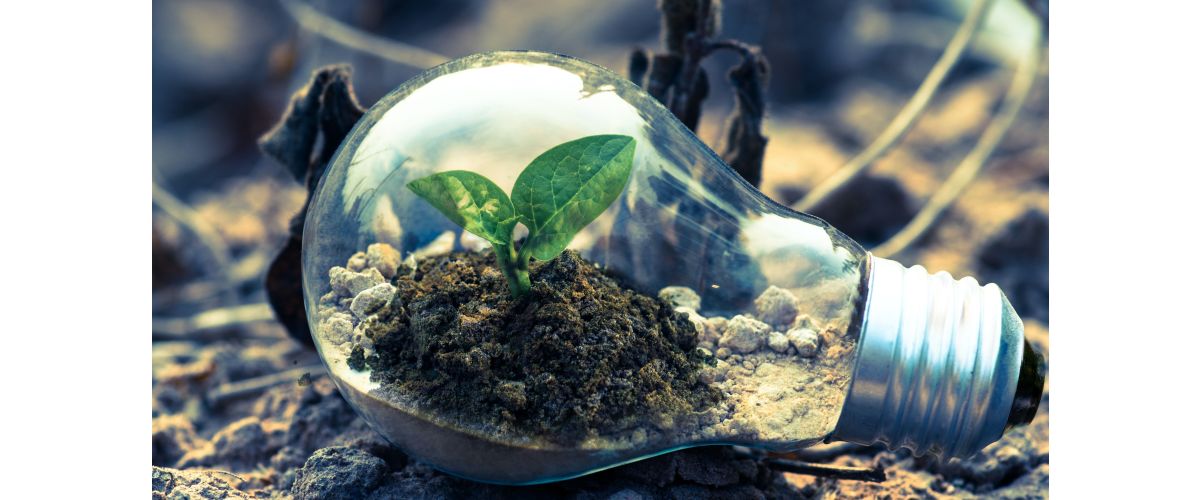 Need innovative pollution prevention solutions? Green Rhino have you covered...