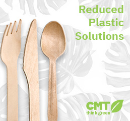 Reduced Plastic Solutions