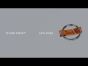 Tether Rings™  - Explained