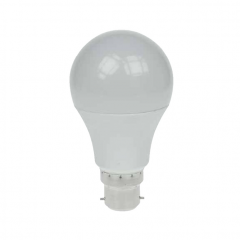 LED Lightbulb 110v