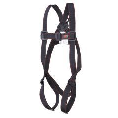 Pioneer™ 2-Point Harness