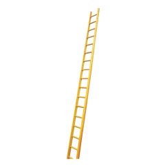Steel Pole Ladder