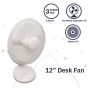 Oscillating desk fan 12 inch rear view showing speed control and oscillation button | CMT Group UK