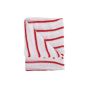 Hygiene Dishcloth Red - Pack of 10