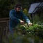 Ledlenser H7R Core head torch worn by tradesperson during gardening work | CMT Group UK