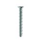 Ankerbolt - Countersunk - Zinc Plated and Clear Passivated - 5/6mm x 50mm - Box of 100