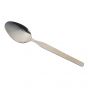 Stainless Steel Spoon