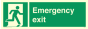 Vinyl Photoluminescent Sticker - 300mm x 100mm - Emergency exit with running man facing right